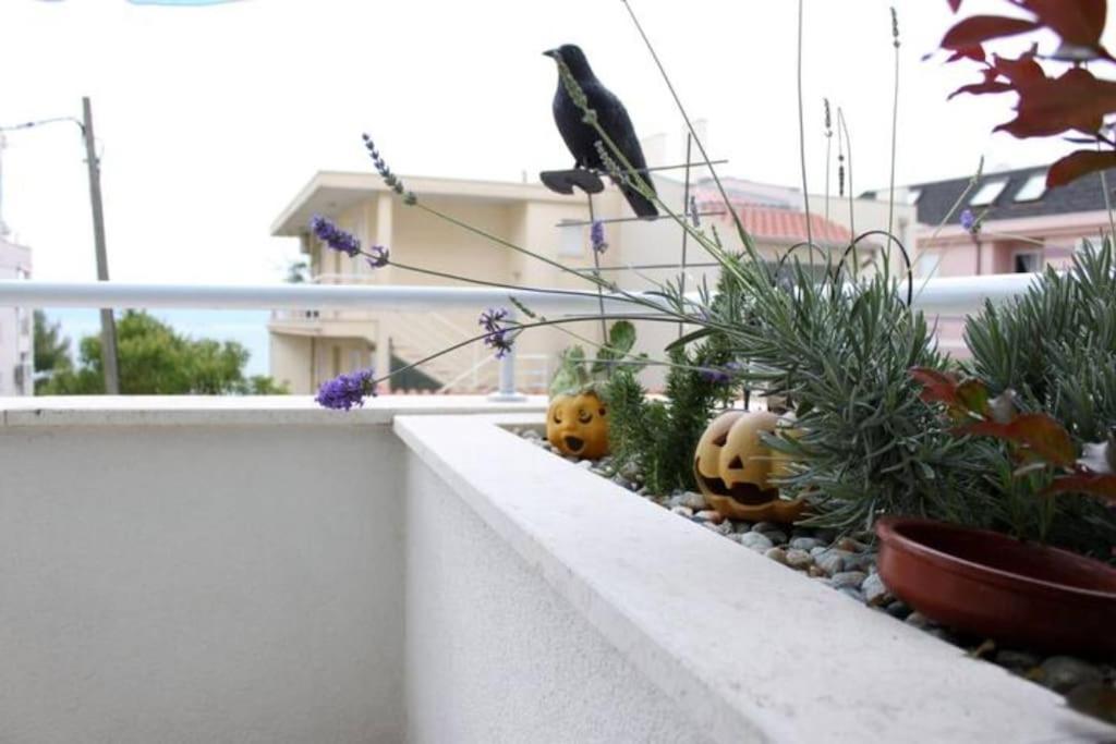 Maia'S Beach Studio Znjan Split Exterior photo
